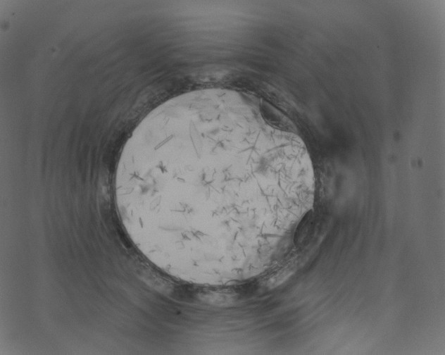 X0000073460561200608251734