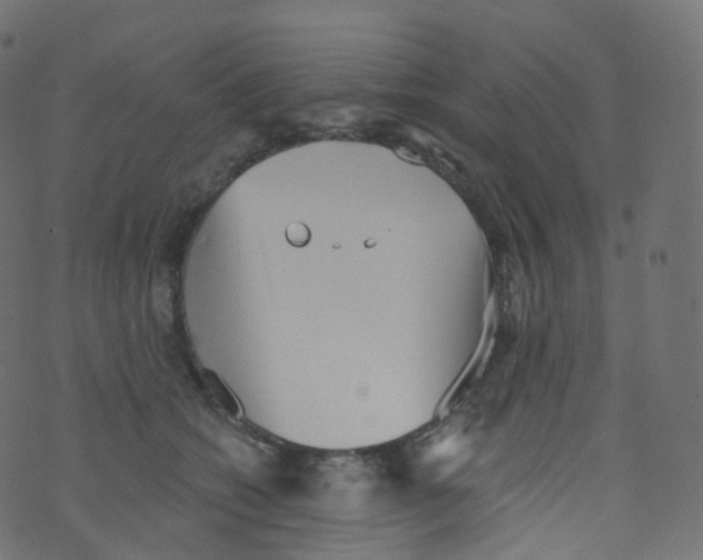 X0000073460562200608251734