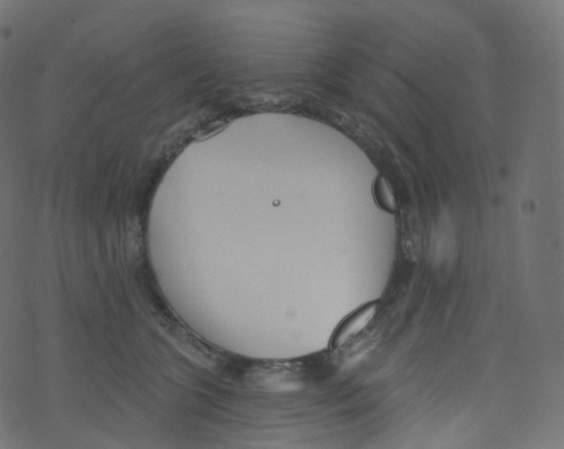 X0000073460563200608251734