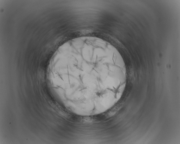 X0000073460565200608251734