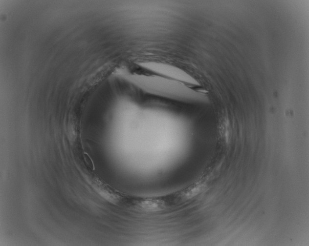 X0000073460566200608251734