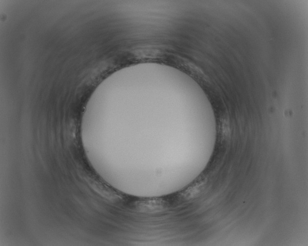 X0000073460567200608251735