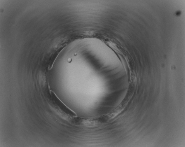 X0000073460568200608251735