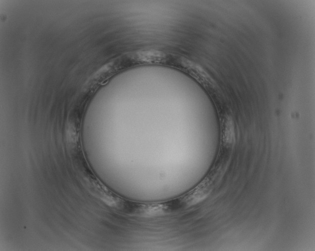 X0000073460569200608251735