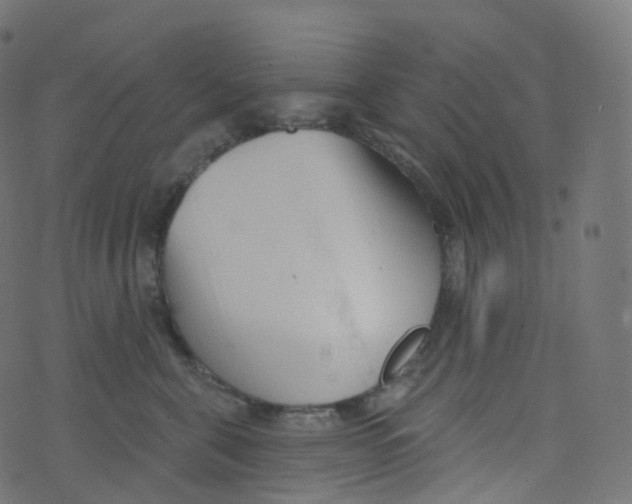 X0000073460571200608251735