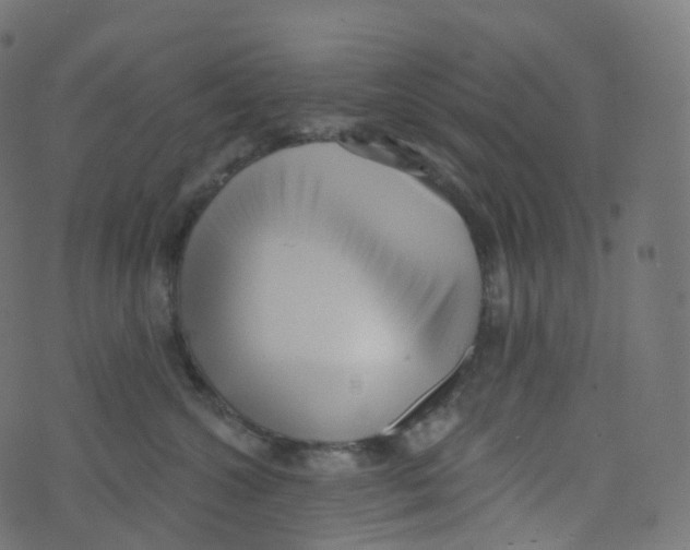 X0000073460572200608251735