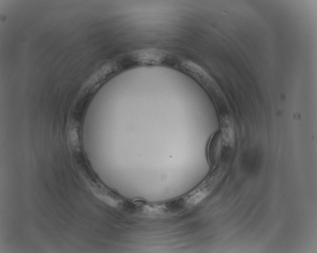 X0000073460573200608251735