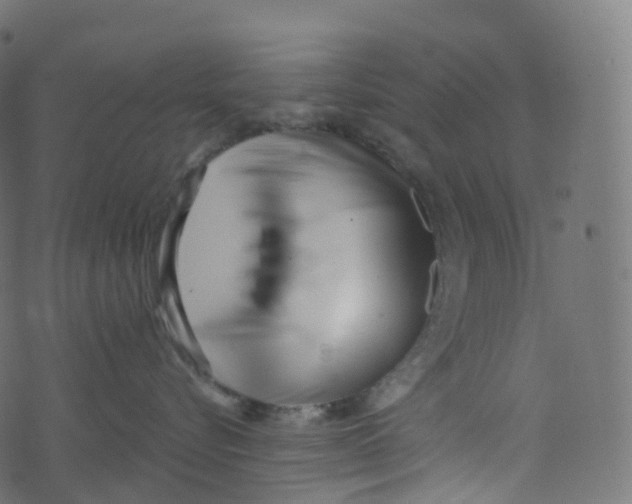 X0000073460576200608251735