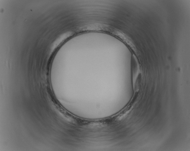 X0000073460578200608251734