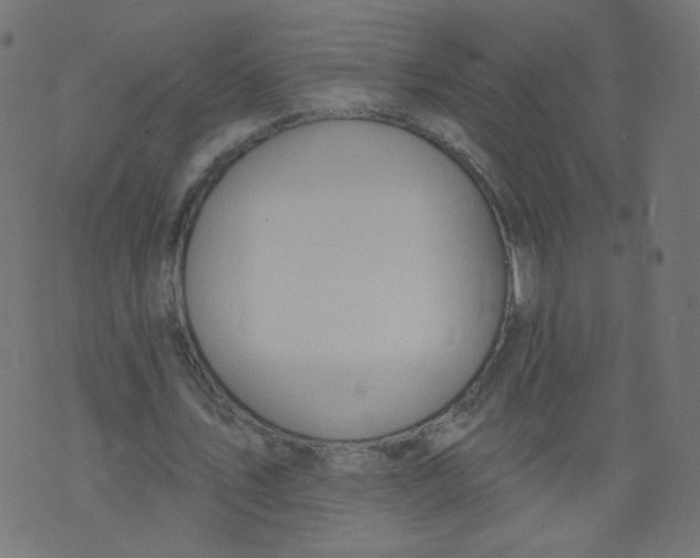 X0000073460579200608251734