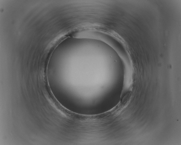 X0000073460581200608251734