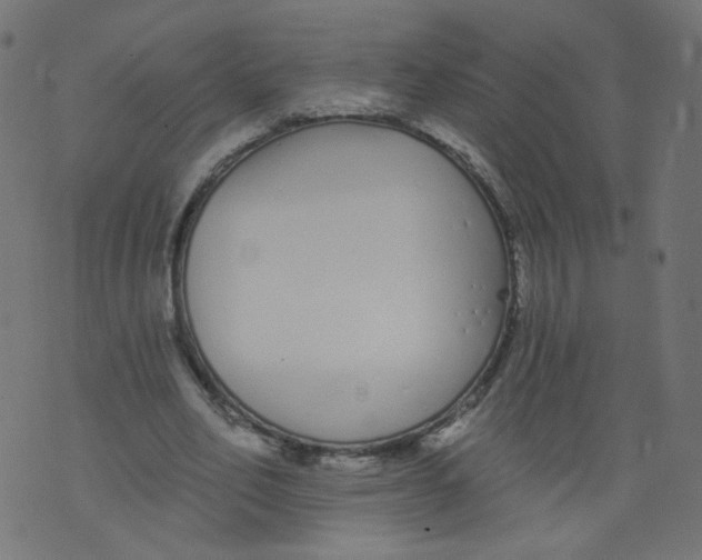 X0000073460582200608251734