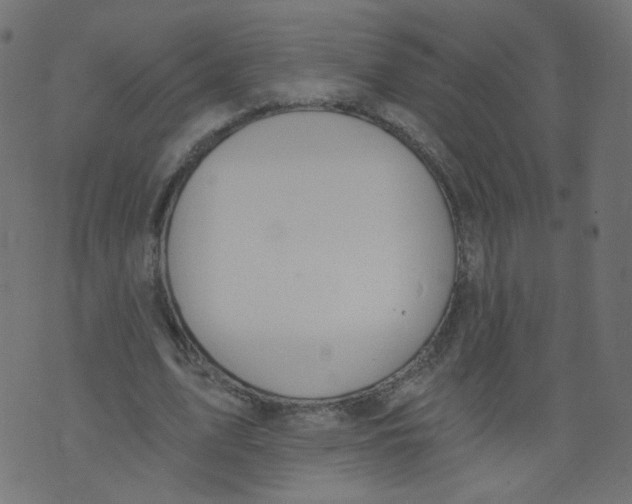 X0000073460583200608251734