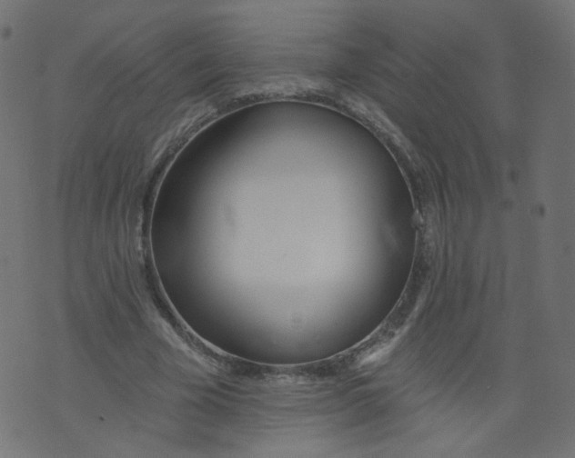 X0000073460585200608251734