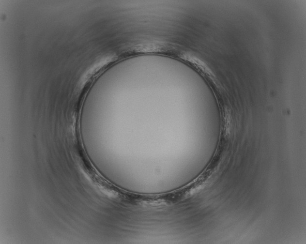 X0000073460586200608251734