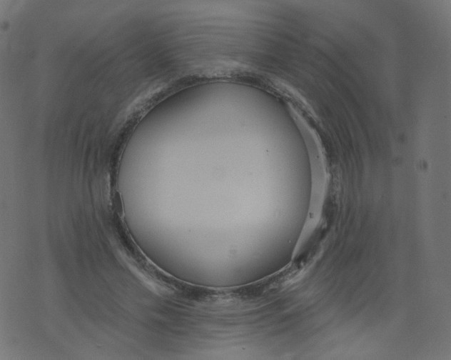 X0000073460589200608251734