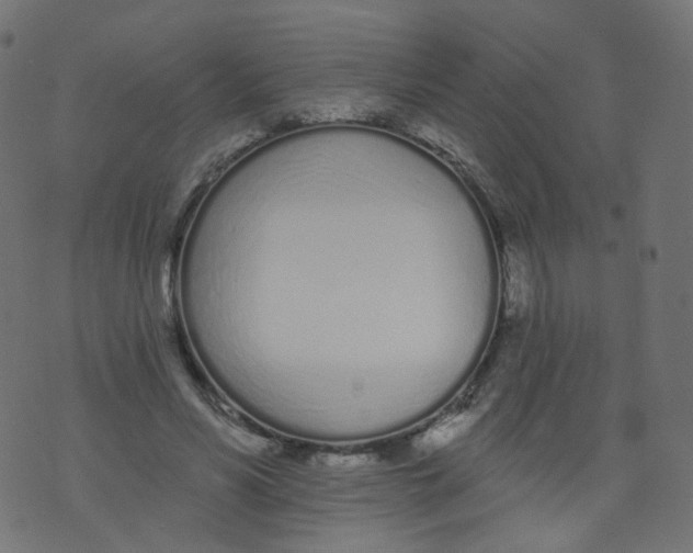 X0000073460590200608251734