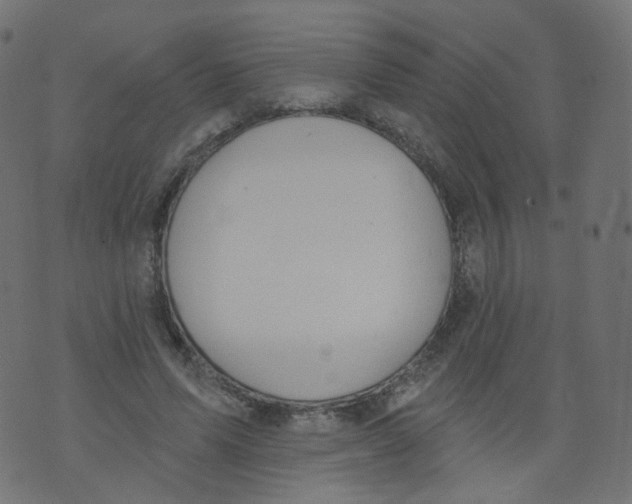 X0000073460591200608251734