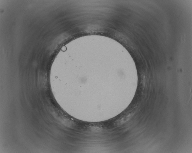 X0000073460592200608251734