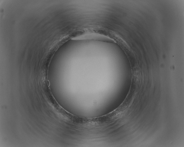 X0000073460593200608251734