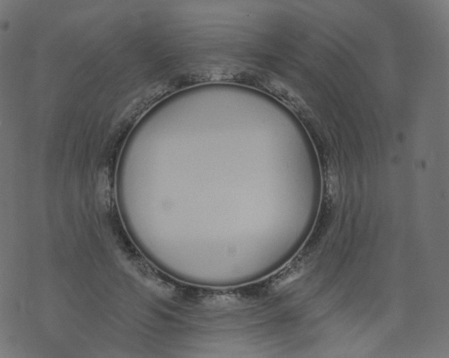 X0000073460594200608251734