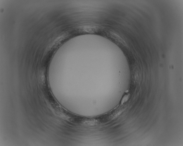 X0000073460595200608251734