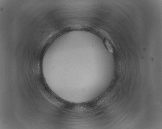 X0000073460596200608251734