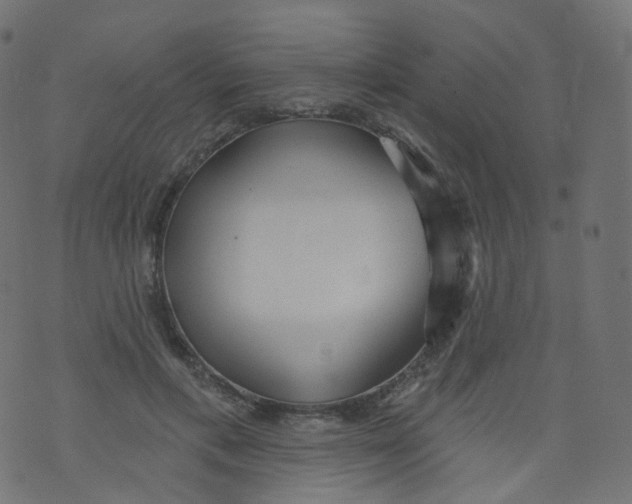 X0000073460597200608251734