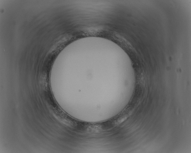 X0000073460599200608251734