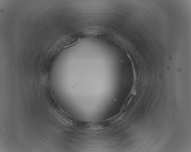 X0000073460601200608251733