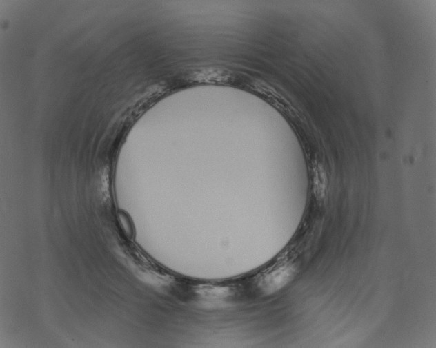 X0000073460602200608251733