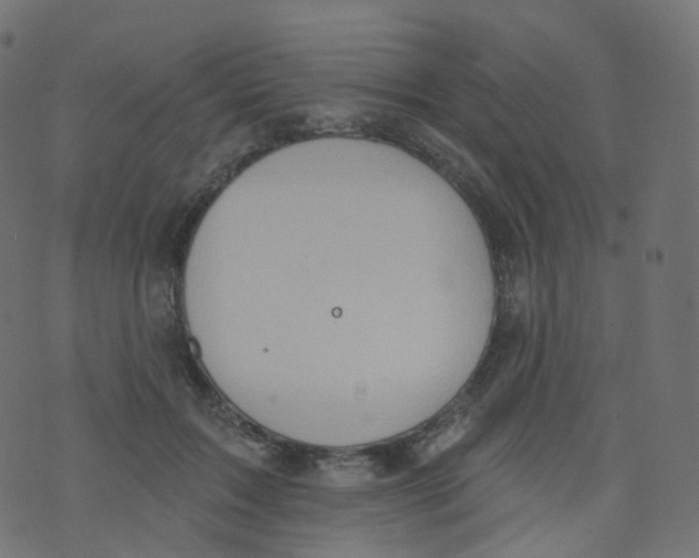 X0000073460603200608251733