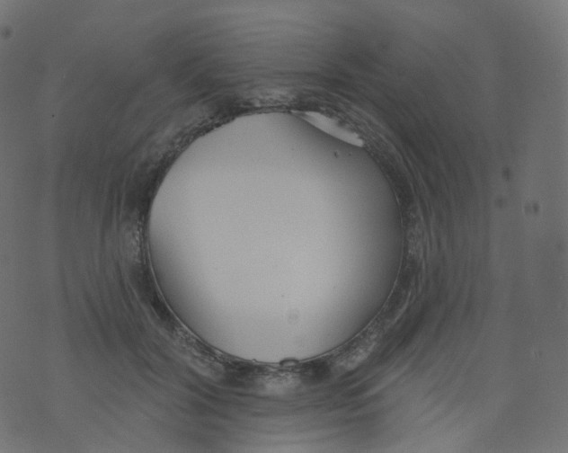 X0000073460604200608251733