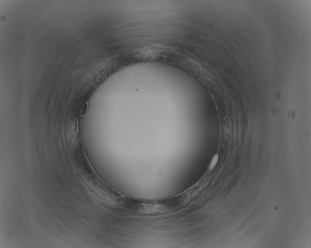 X0000073460605200608251733