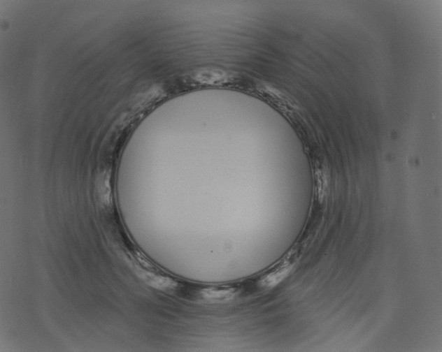 X0000073460606200608251733