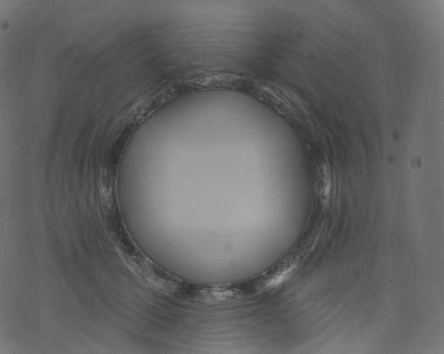 X0000073460607200608251733