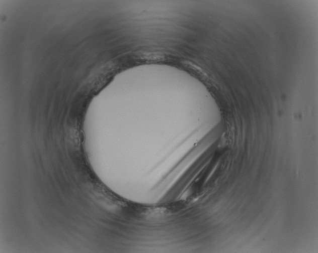 X0000073460609200608251733