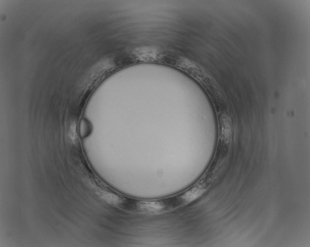 X0000073460610200608251733