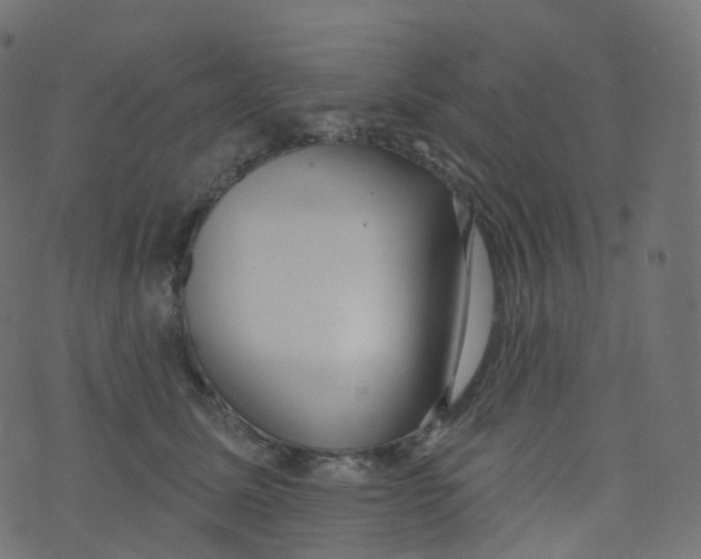 X0000073460611200608251733