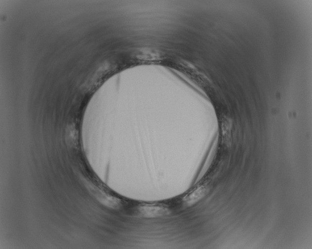 X0000073460614200608251733