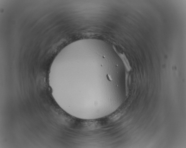 X0000073460615200608251733