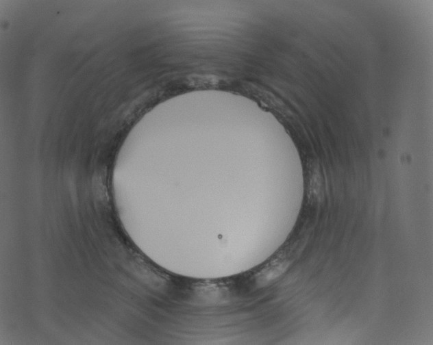 X0000073460616200608251733