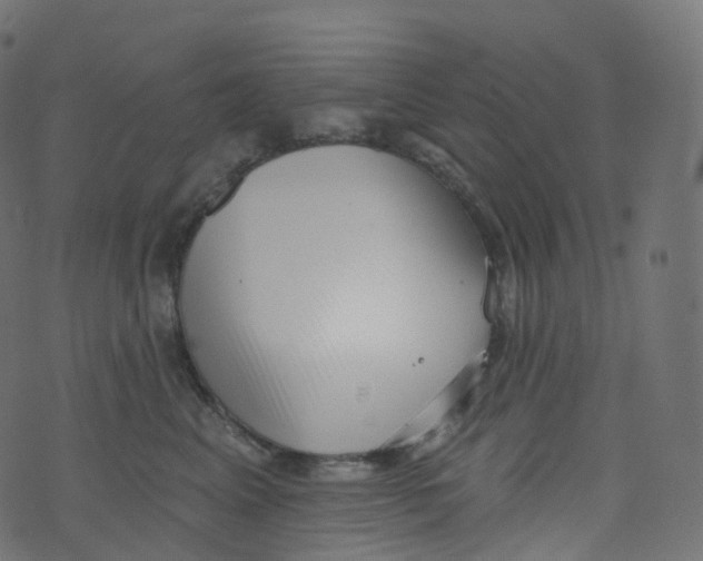 X0000073460617200608251733