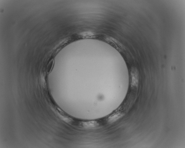 X0000073460618200608251733