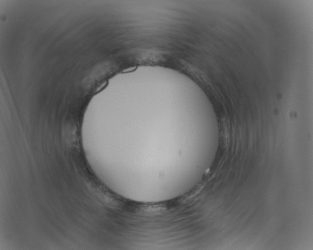 X0000073460619200608251733