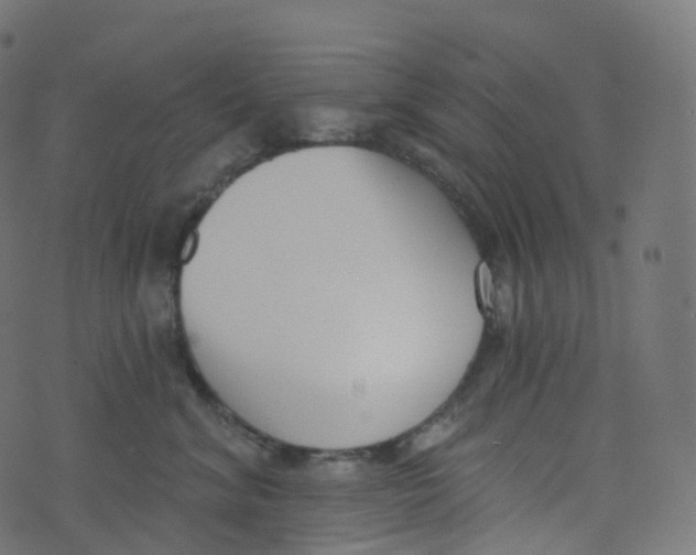 X0000073460620200608251733