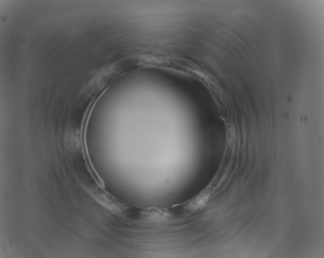 X0000073460621200608251733