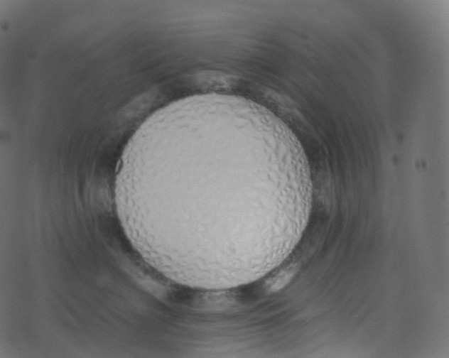 X0000073460622200608251733