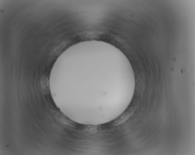 X0000073460624200608251733