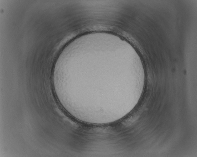 X0000073460625200608251732